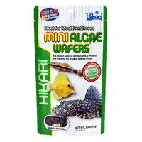 Hikari Mini Algae Wafers Herbivores Fish Food